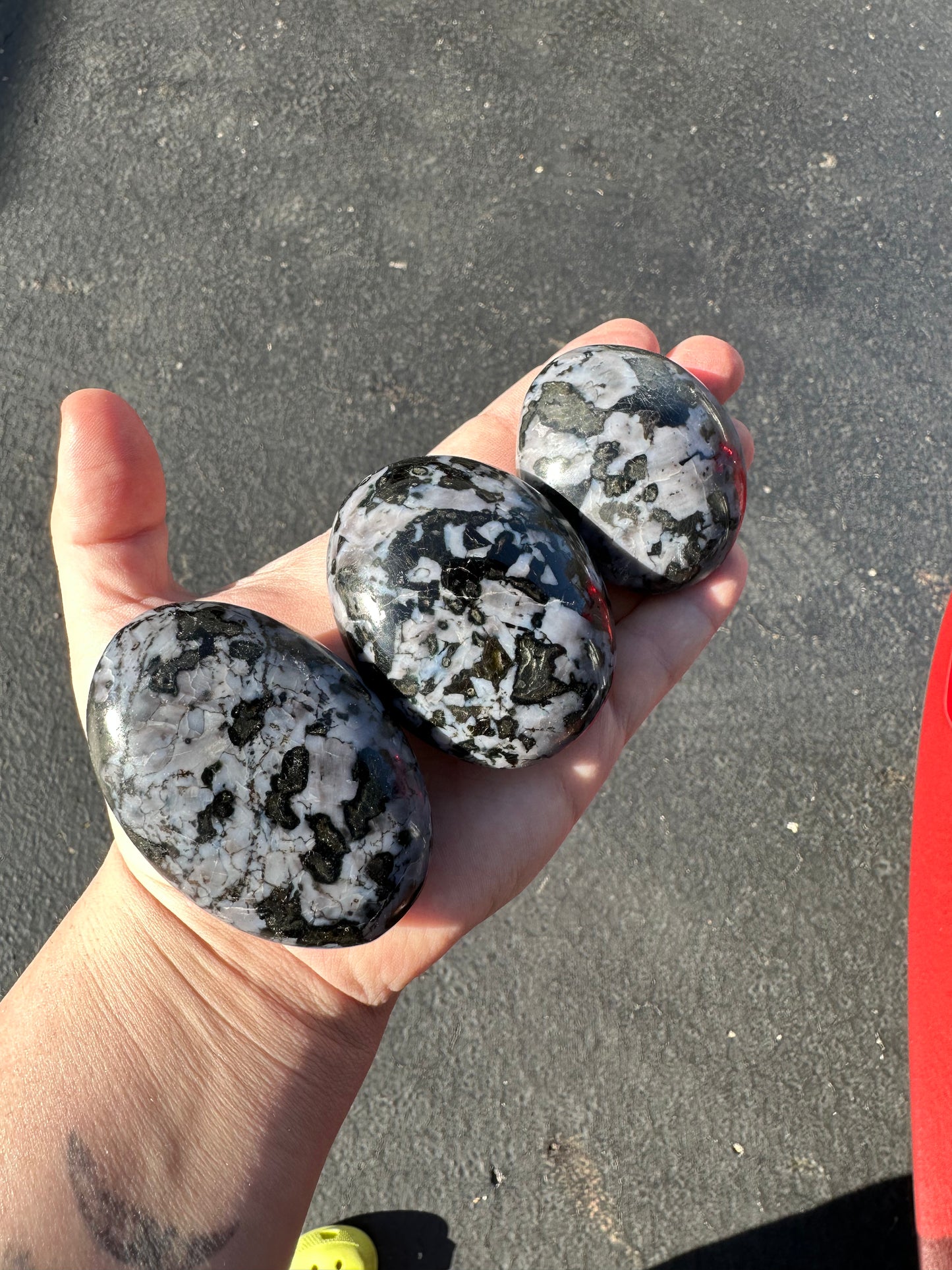 INDIGO GABBRO PALMS!