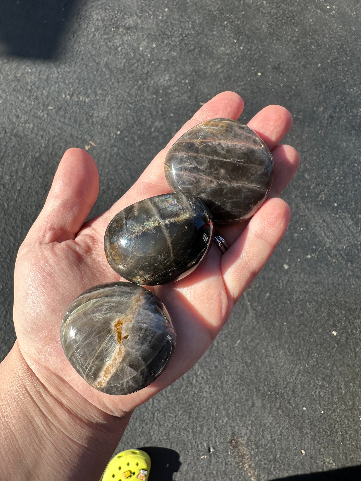 BLACK MOONSTONE PALMS!