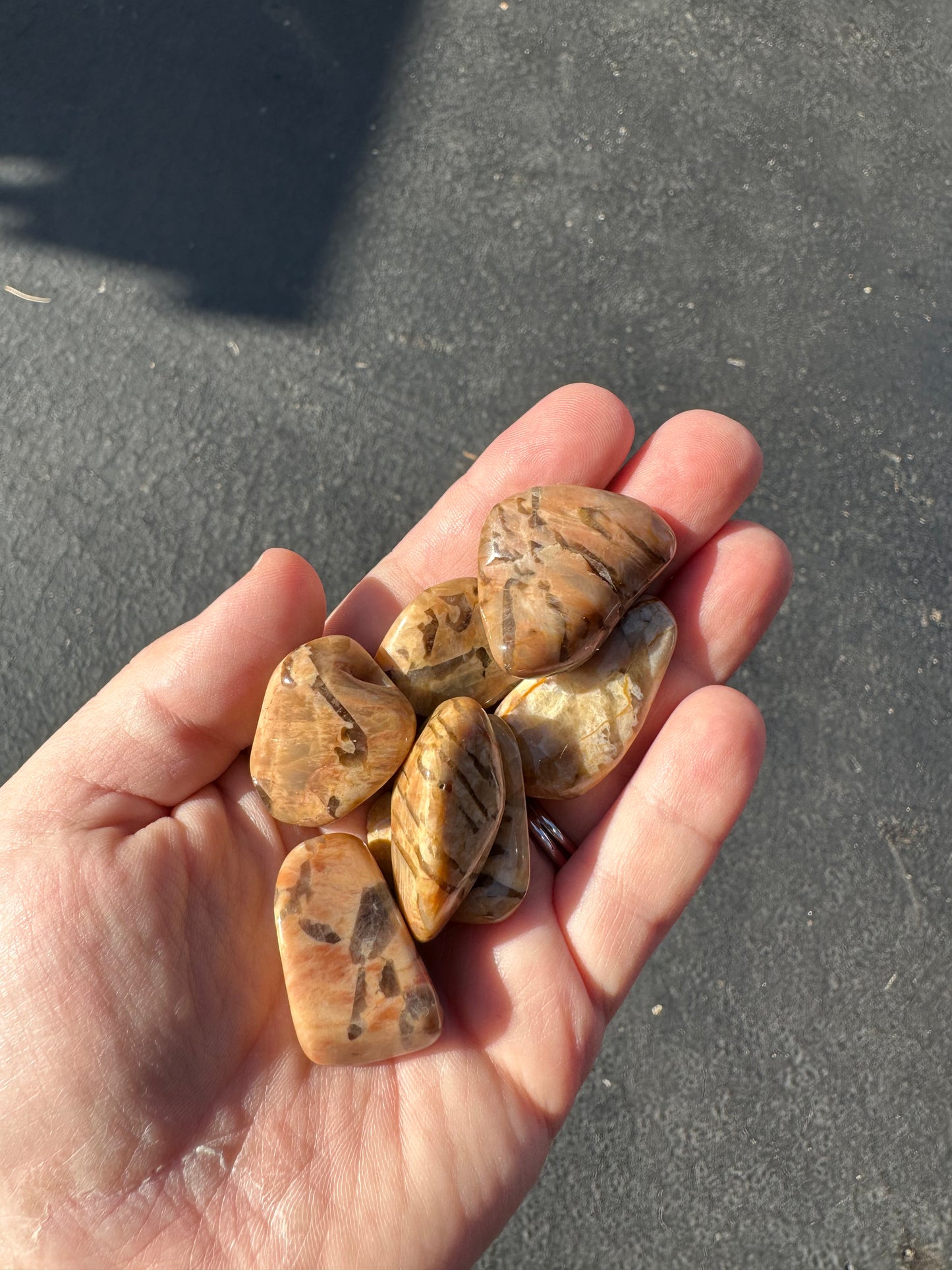 LEOPARD JASPER TUMBLES!