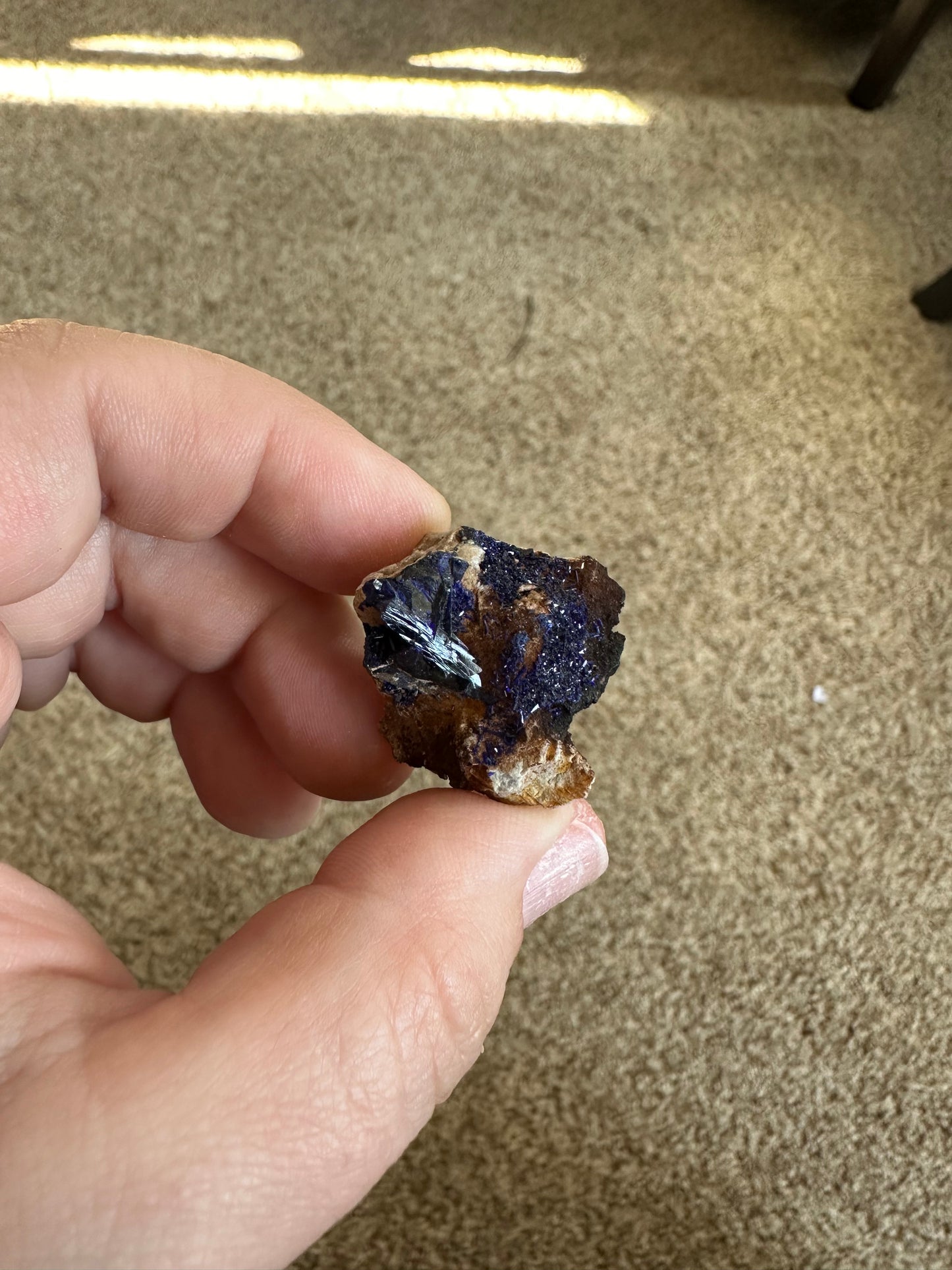MINI AZURITE SPECIMENS!