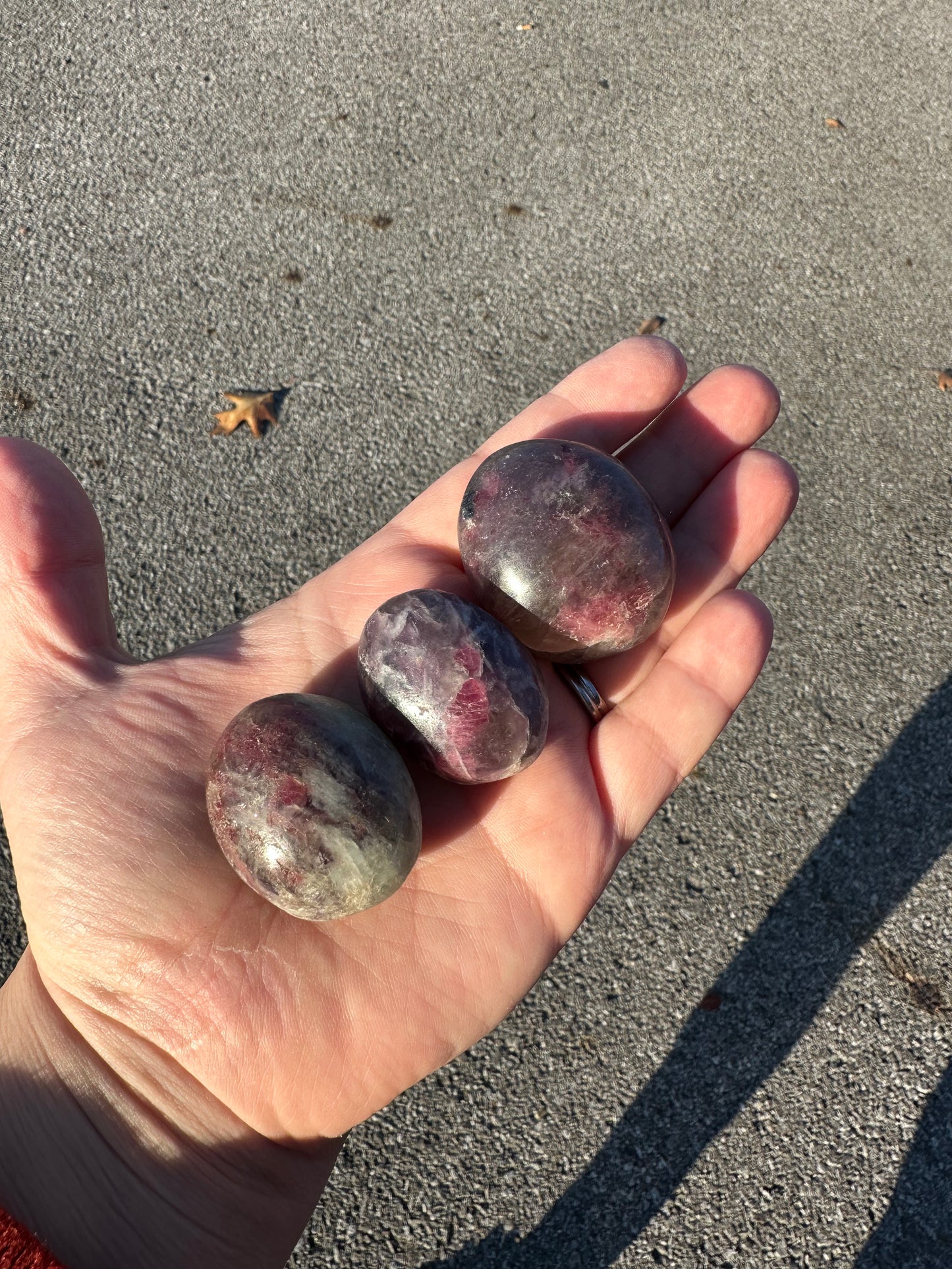 UNICORN STONE MINI PALMS!