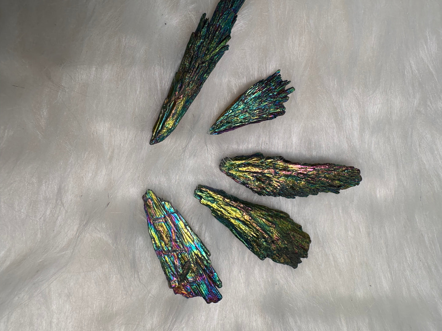RAINBOW BLACK KYANITE!
