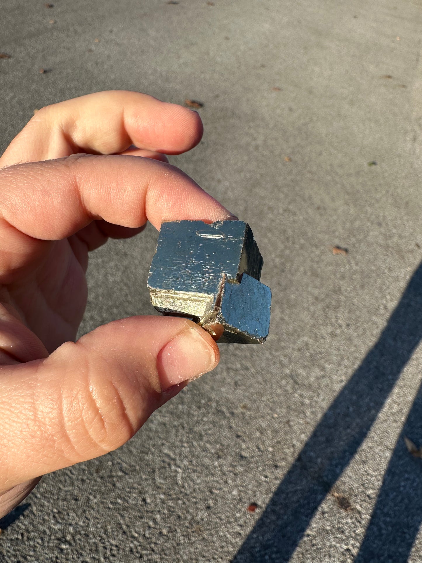 PYRITE SPECIMEN!